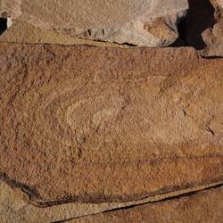 Плитняк ЖЕЛТЫЙ С РАЗВОДАМИ из песчаника купить